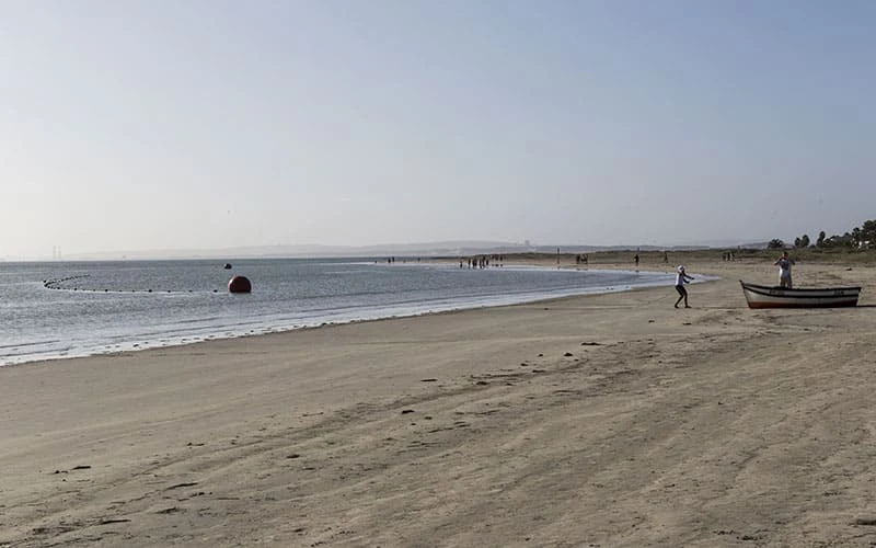 Discover the Coastal Charm and Serenity of Casa Di Simonetta and Langebaan Beach Cottage in South Africa