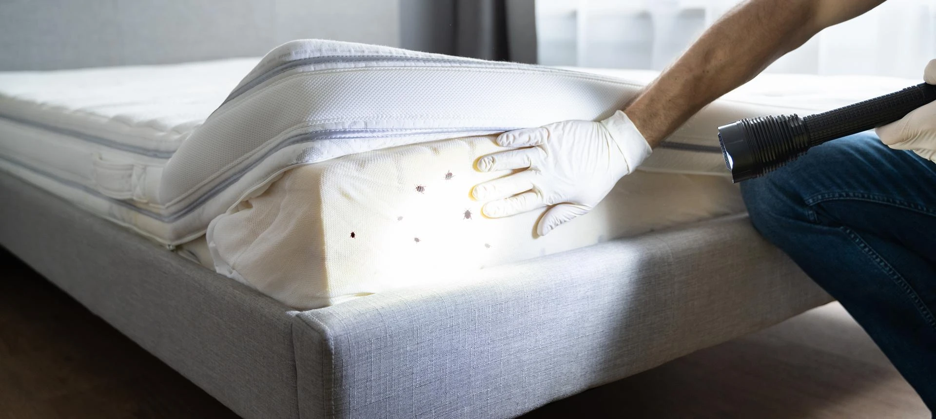 Can’t Sleep Because of Bed Bugs? Here’s How an Exterminator Can End Your Nightmare Fast