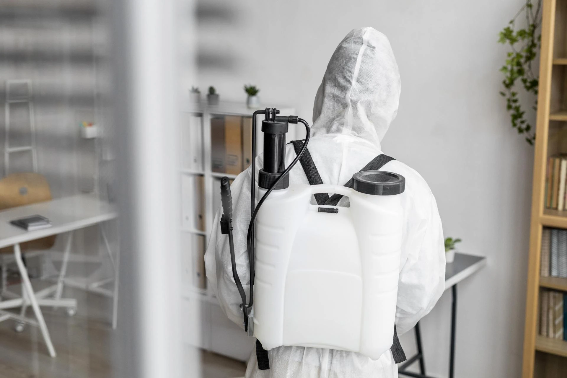 Why Choose Professional House Tent Fumigation Services? A Deep Dive into Cost & Benefits