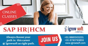 How do you integrate SAP HR with SAP FI (Finance)?