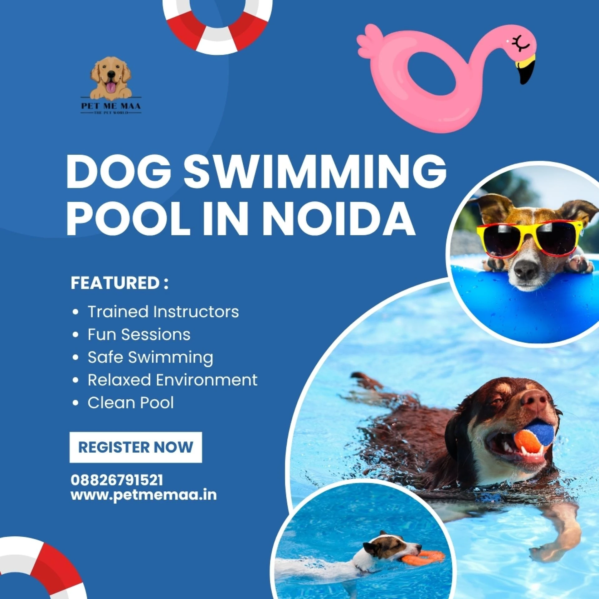The Best Dog Swimming Pool in Noida at Pet Me Maa