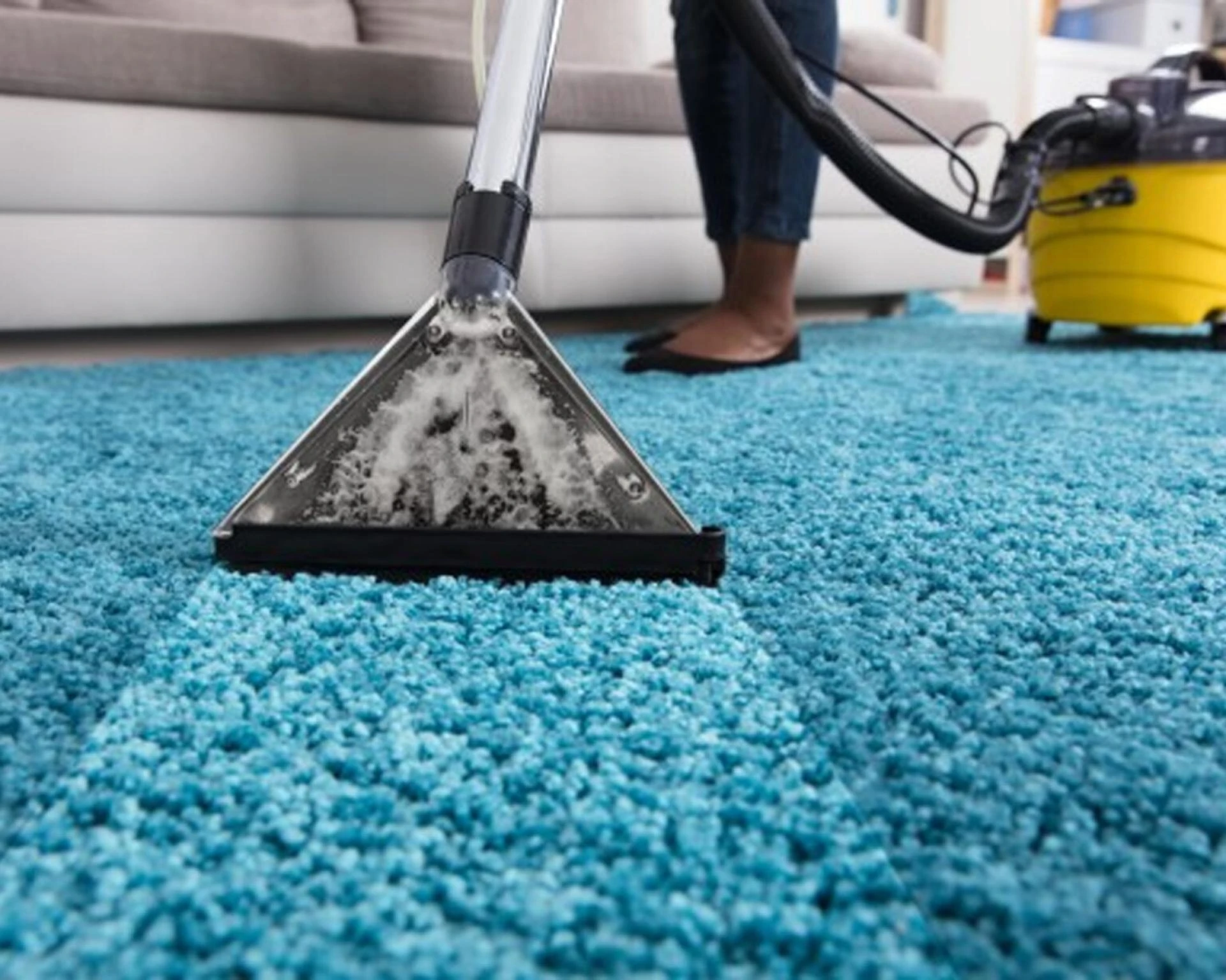 Professional Carpet Cleaning Services in Adelaide