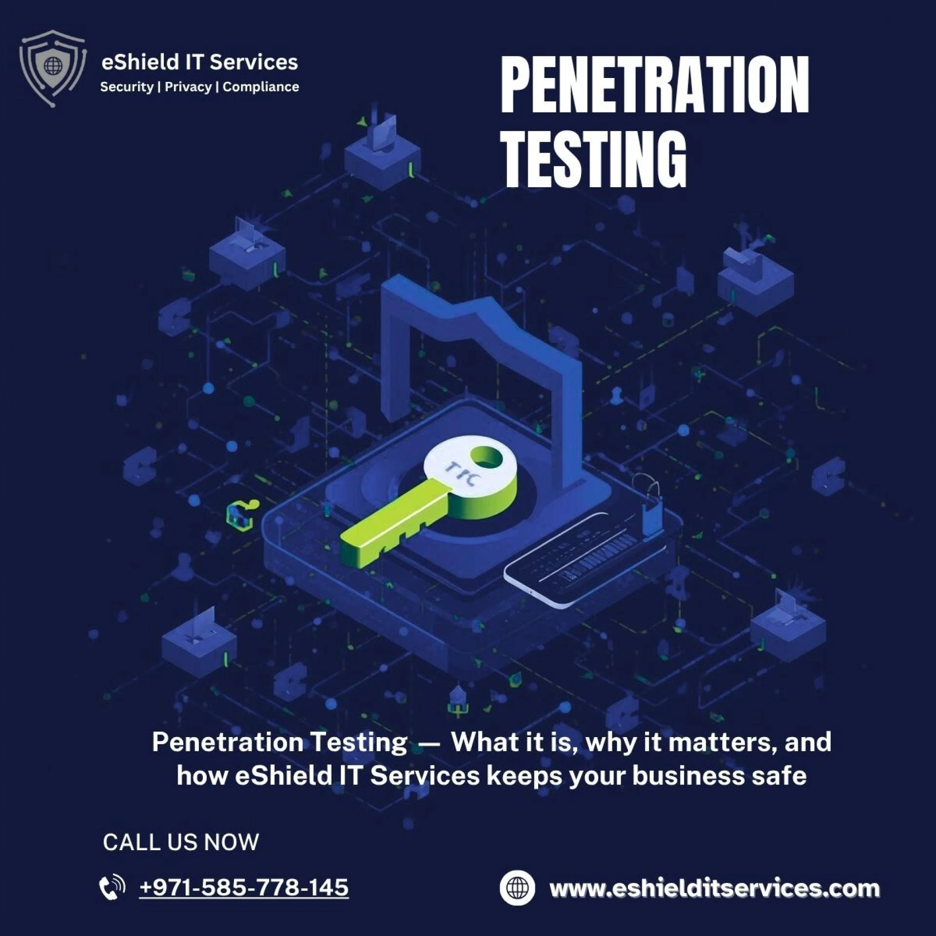 Professional Penetration Testing Services – Secure Your Business Today!