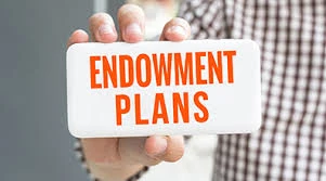 The Power of Endowment Plans: How to Build Wealth and Security for Life