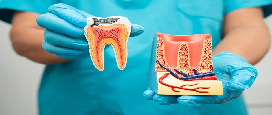Trusted Lilburn Dentist for Complete Family Dental Care