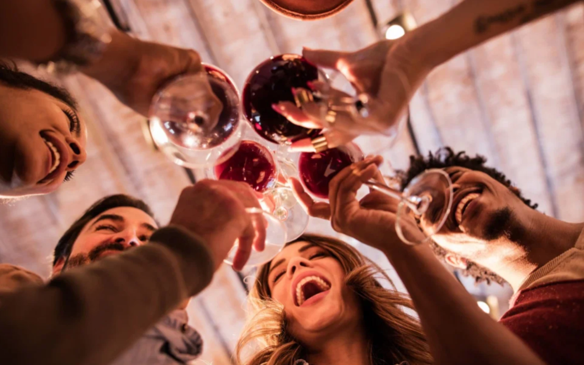 Discover a Better Way to Shop Chicago Wine with Albatross Wines