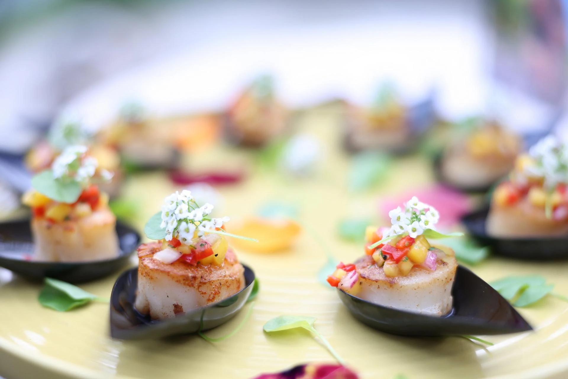 From Garden to Table: Fresh, Seasonal Recipes for Every Occasion