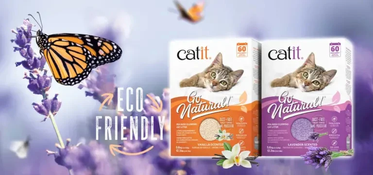 Catit Go Natural Pea Husk Cat Litter (Lavender & Vanilla): The Smart, Safe & Eco-Friendly Choice for Indian Cat Parents