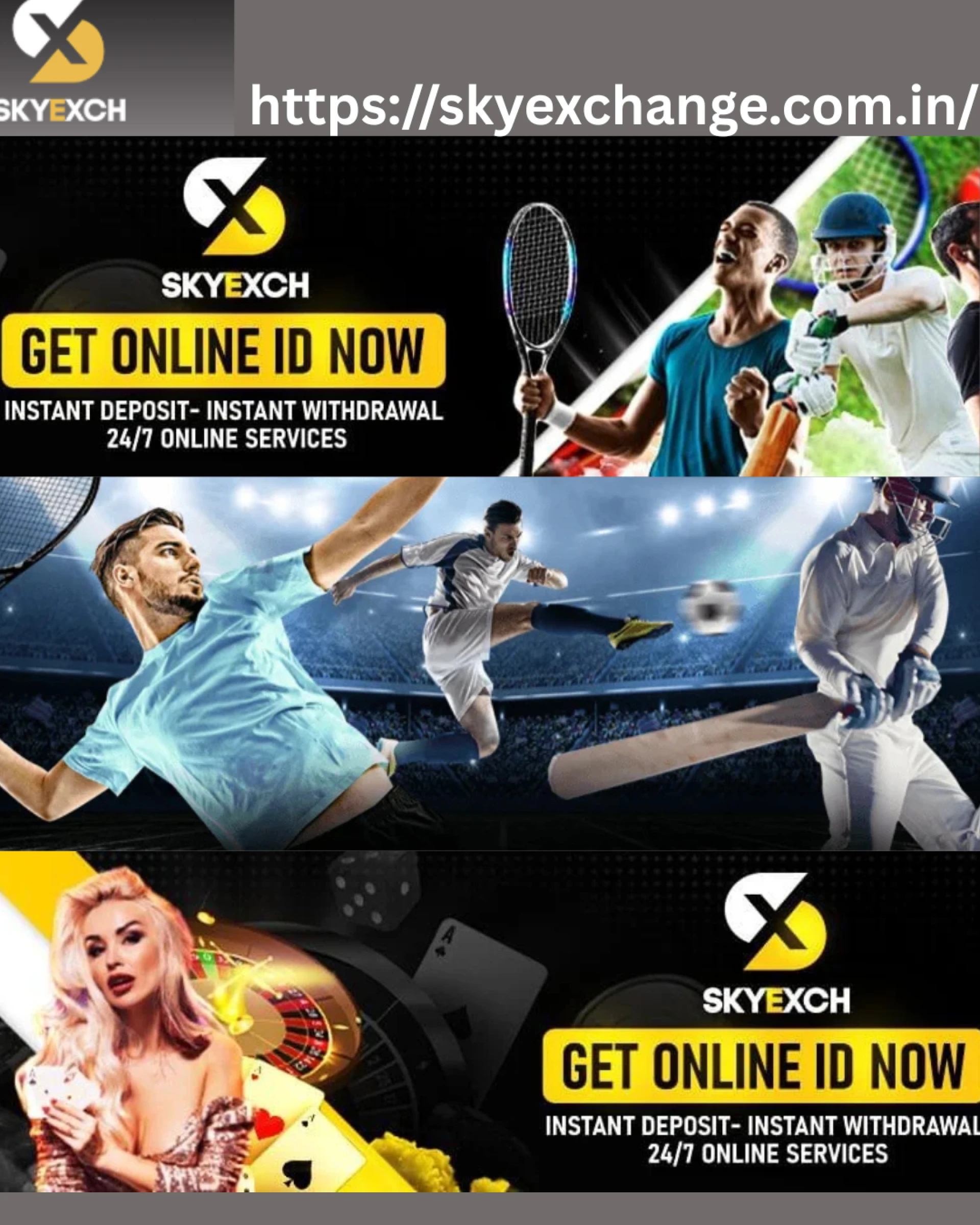 SkyExchange VIP: A Complete Guide to the Modern Sky Exchange XYZ Digital Platform