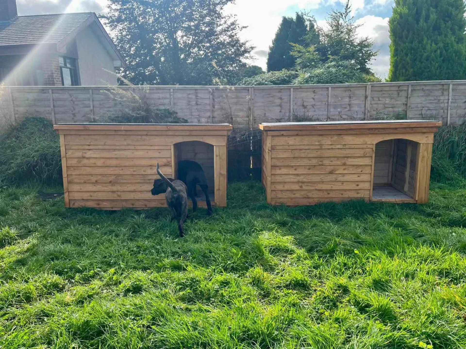 Find the Best Dog Kennels for Sale Dublin – Quality, Comfort & Durability for Your Pets