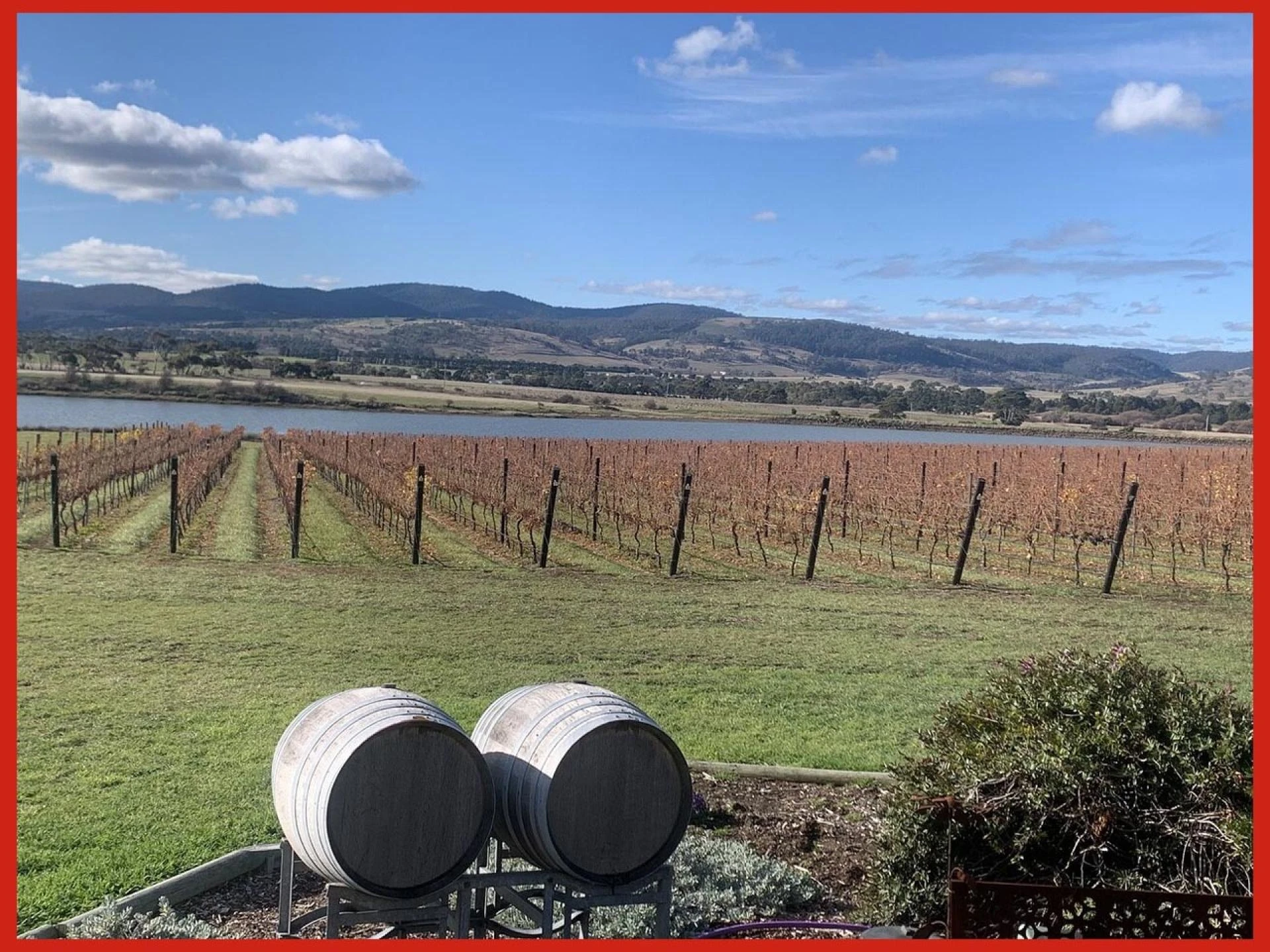 Planning the Perfect Barossa Hen Tour