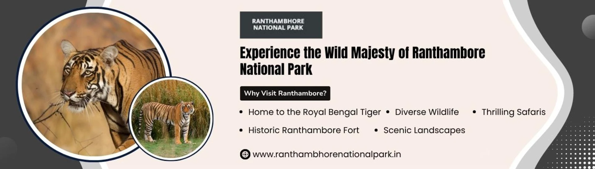 Explore the Wilderness with Ranthambhore National Park