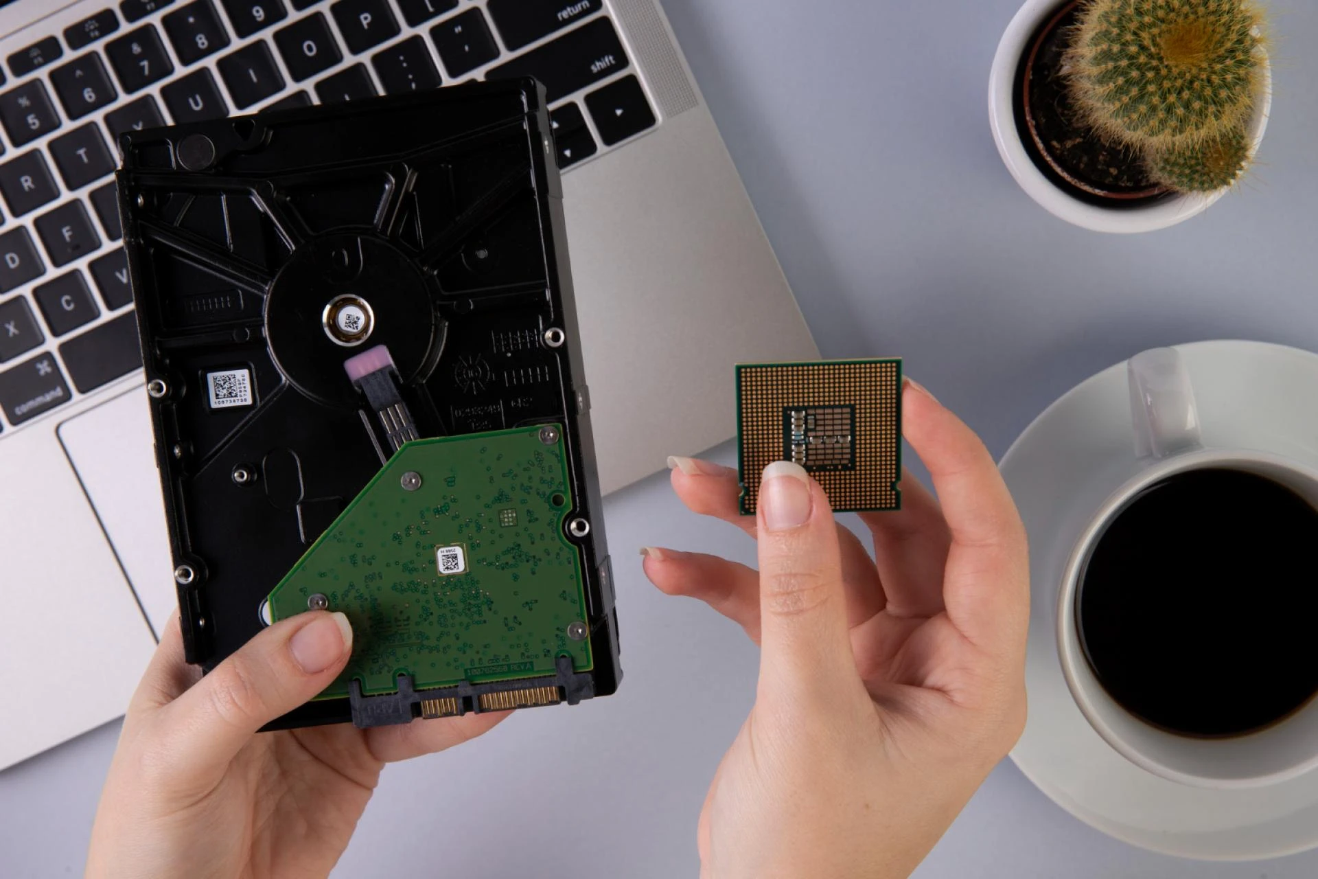 Why Professional SD Card Data Recovery in Mumbai Is Better Than DIY Tools