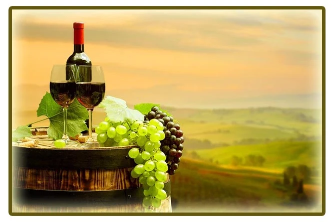 Planning Signature Events with Hills Cellar Door Routes