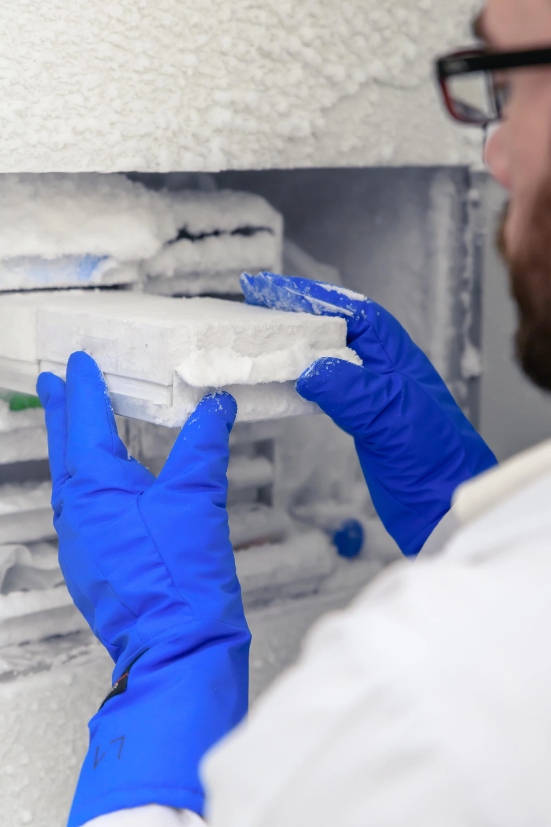 Insulation Removal: Why Twin Home Experts is Your Trusted Partner