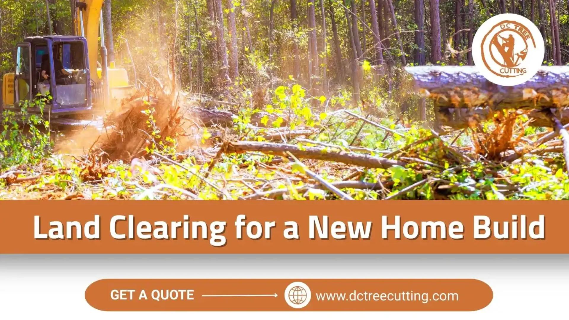 Land Clearing for a New Home Build