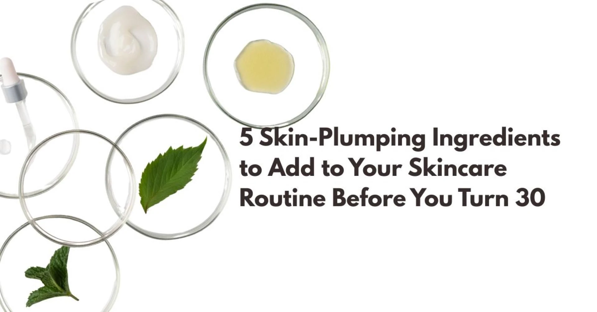 Skin-Plumping Ingredients You Should Add to Your Routine Before 30
