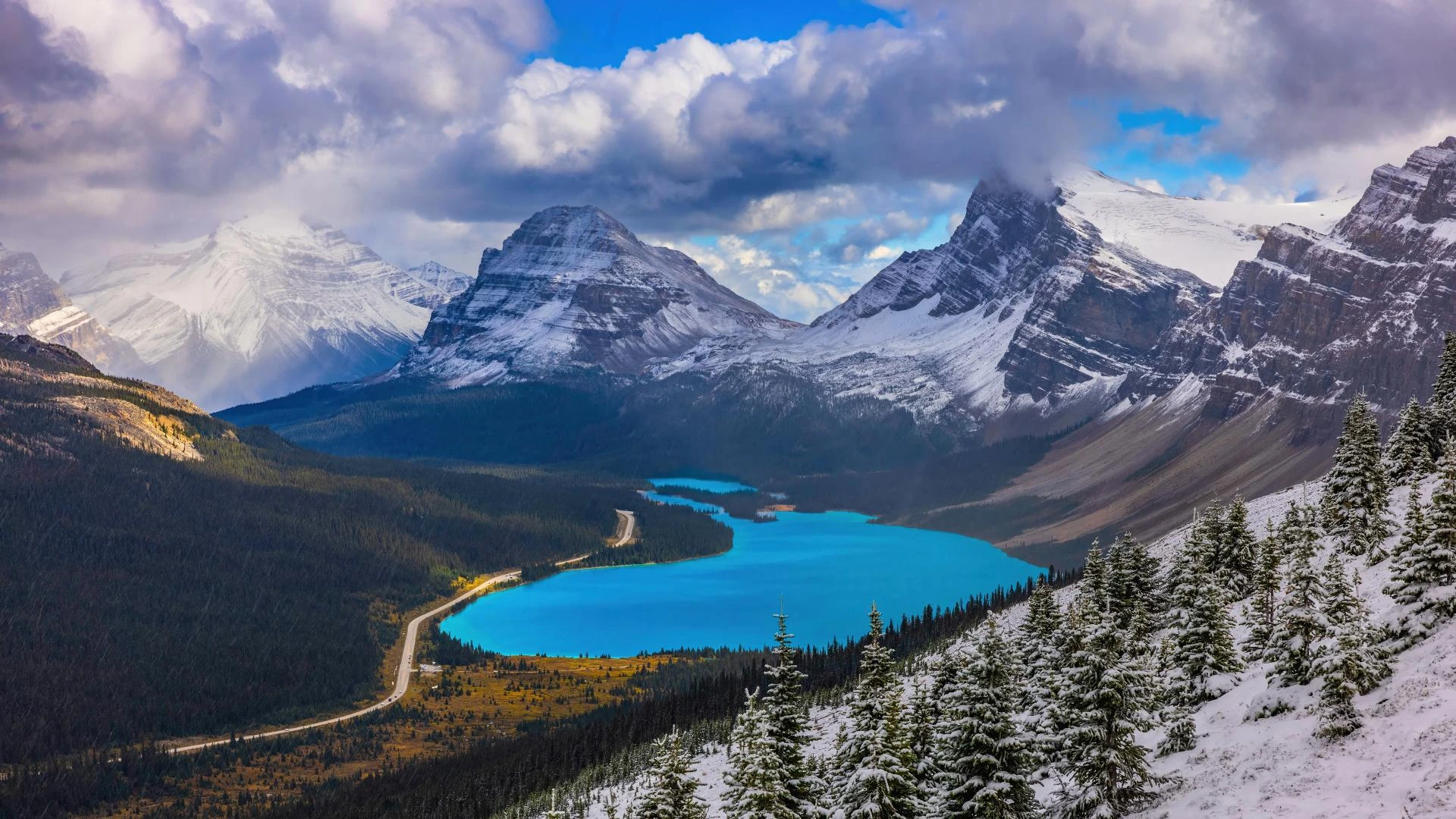 Growth Academy: The Trusted Destination for Digital Marketing Training in Kerala