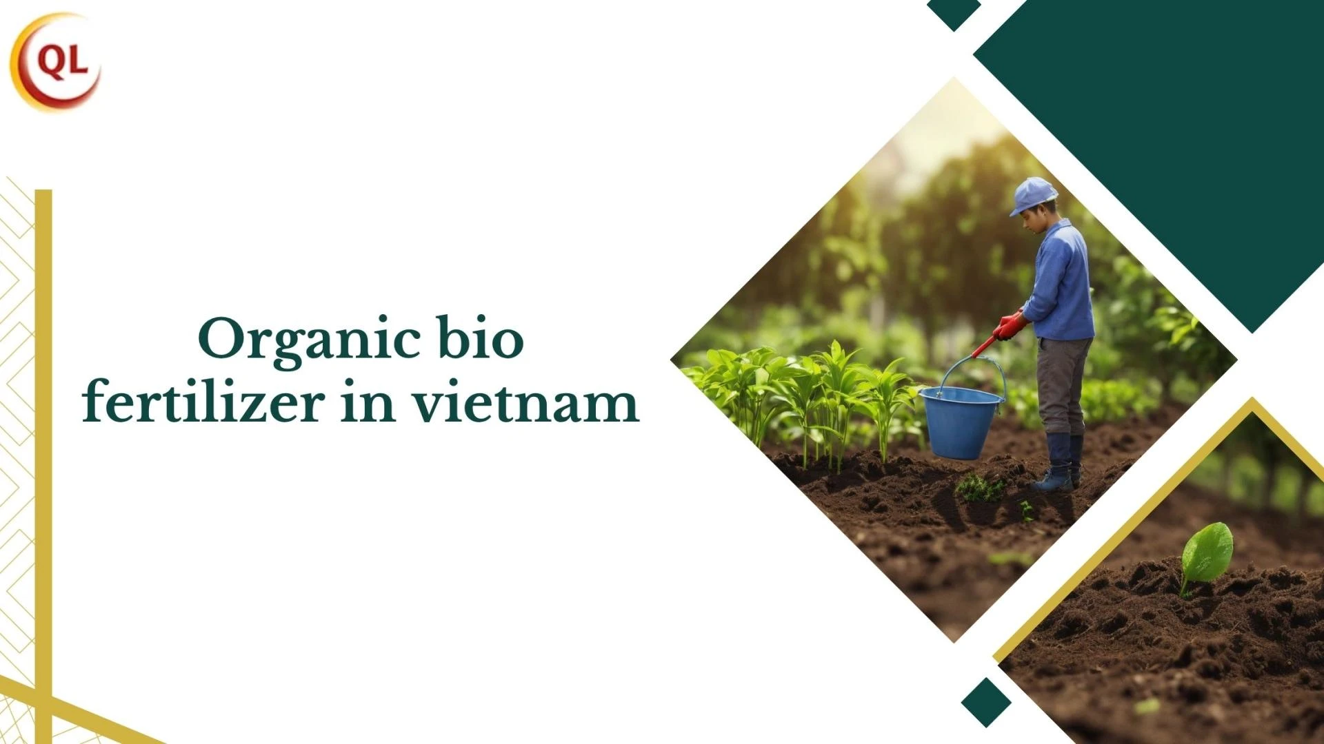 Why Organic Bio Fertilizer in Vietnam Is Transforming Modern Agriculture