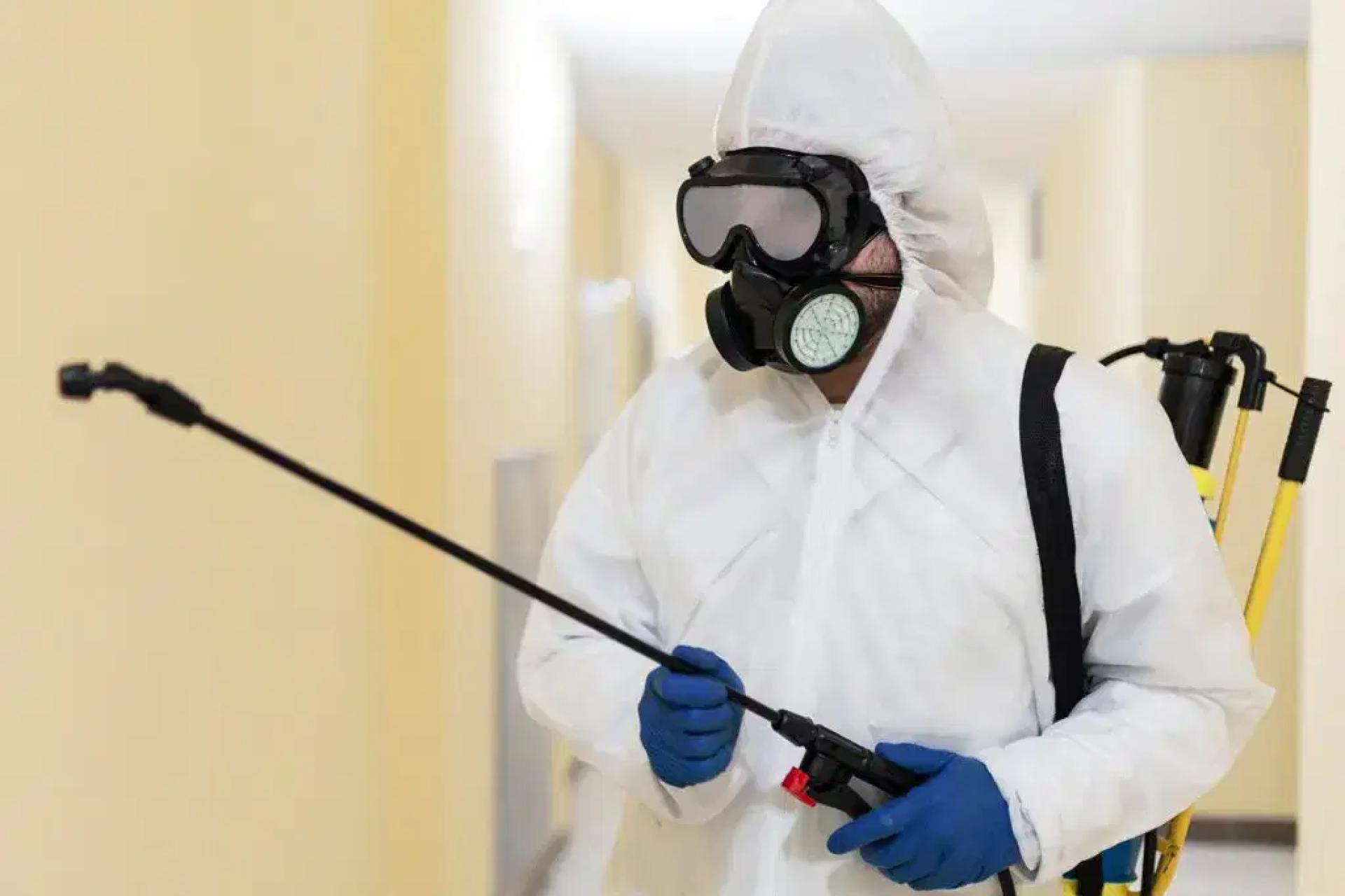 Simple Strategies to Prevent Pest Infestations in Pickering Homes