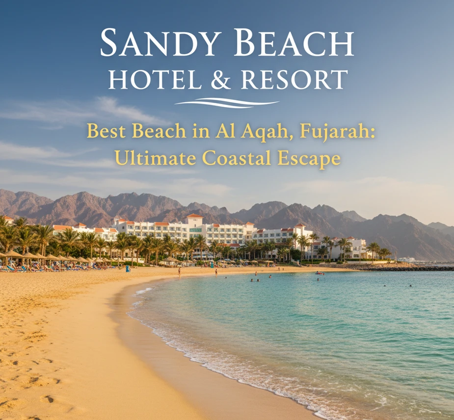 Best Beach in Al Aqah, Fujairah: Discover Sandy Beach for the Ultimate Coastal Escape