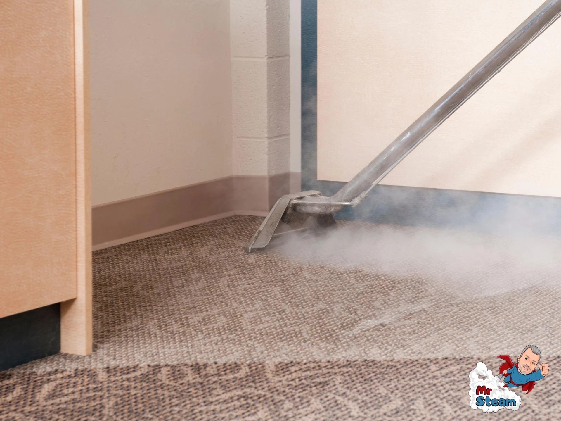 Carpet Cleaning Toronto – Professional Solutions for a Cleaner, Fresher Home