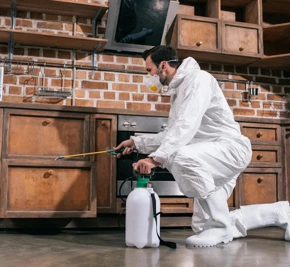 Trusted Pest Control Brampton Safe & Reliable Solutions