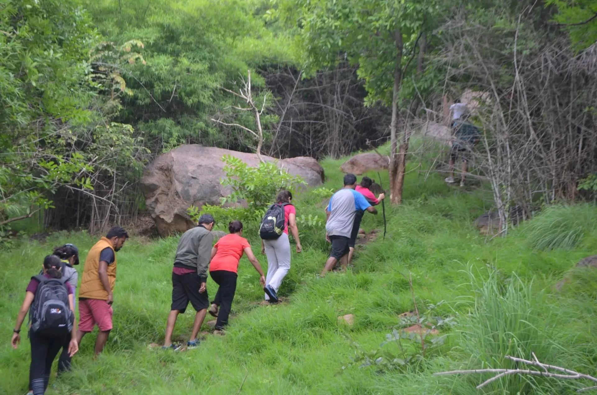 Why Every Company Needs Annual Corporate Outings — And Why Vrindavana Nature Trails Is the Perfect Destination