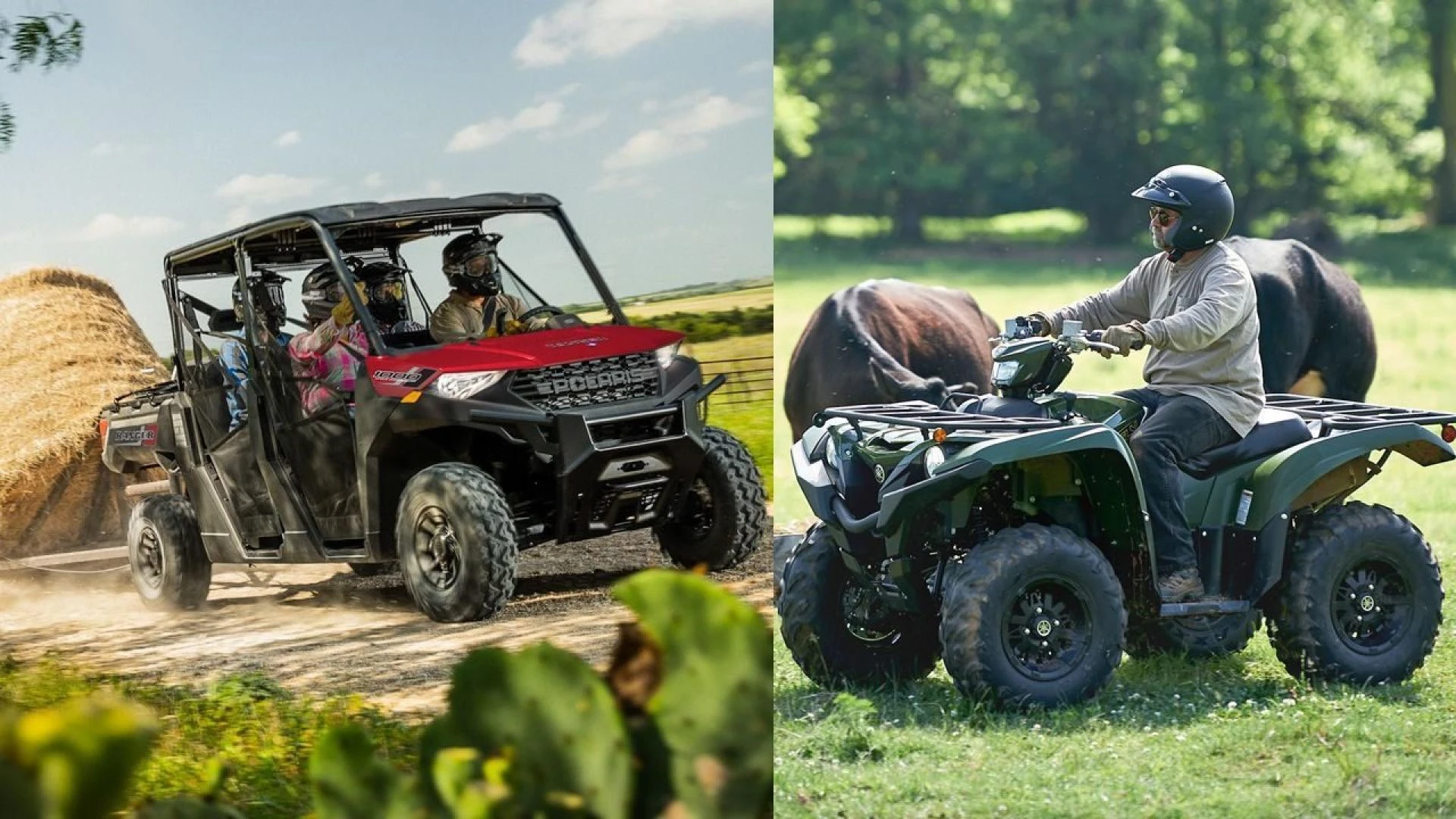 When Safe Rides Turn into Smart Lessons