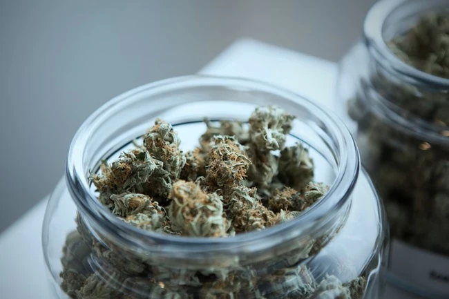 How Shipping and Delivery Work for Online Weed Orders in Canada