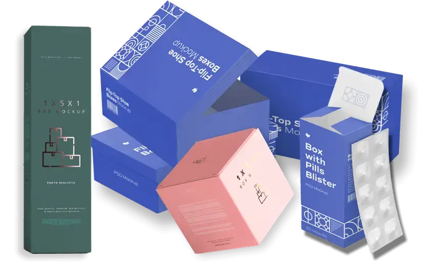 No1 Strong Guide For 1 2 3 Bottom Packaging USA