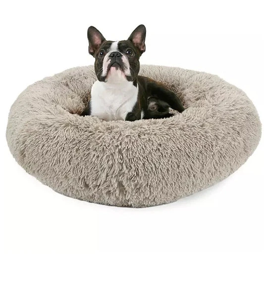 How a Comfortable round pet bed and Nutritious Dog treats Improve Your Pet’s Health and Happiness