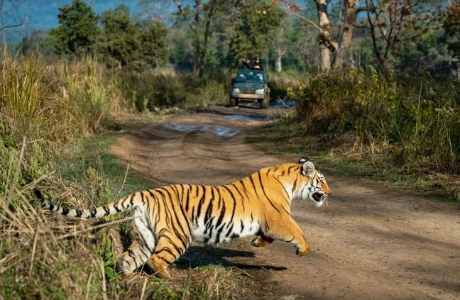 Explore the Hills With the Best Uttarakhand Tourism Package Tour