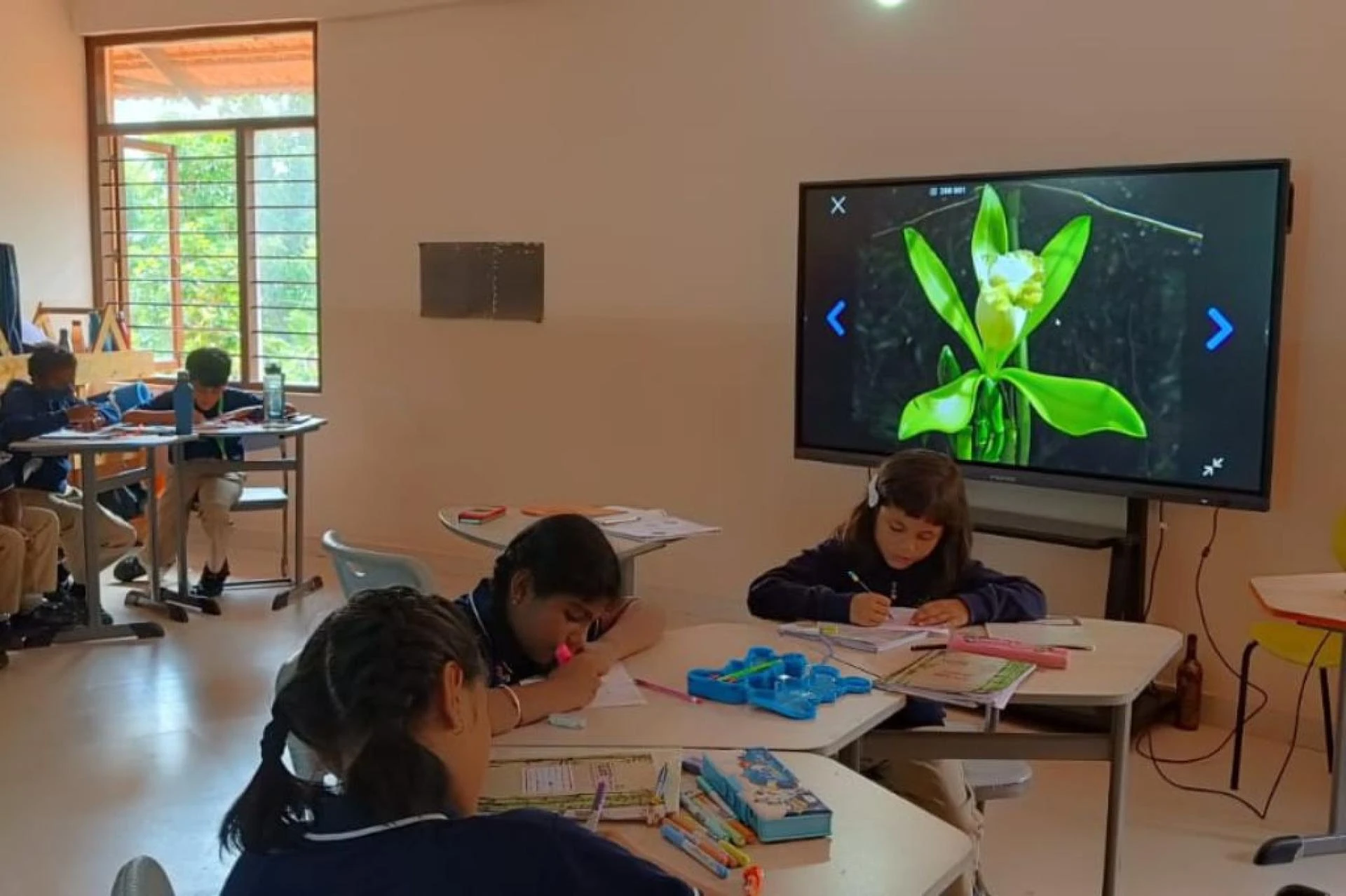Best School in Bangalore 2025: Why Parents Prefer The Green School Bangalore