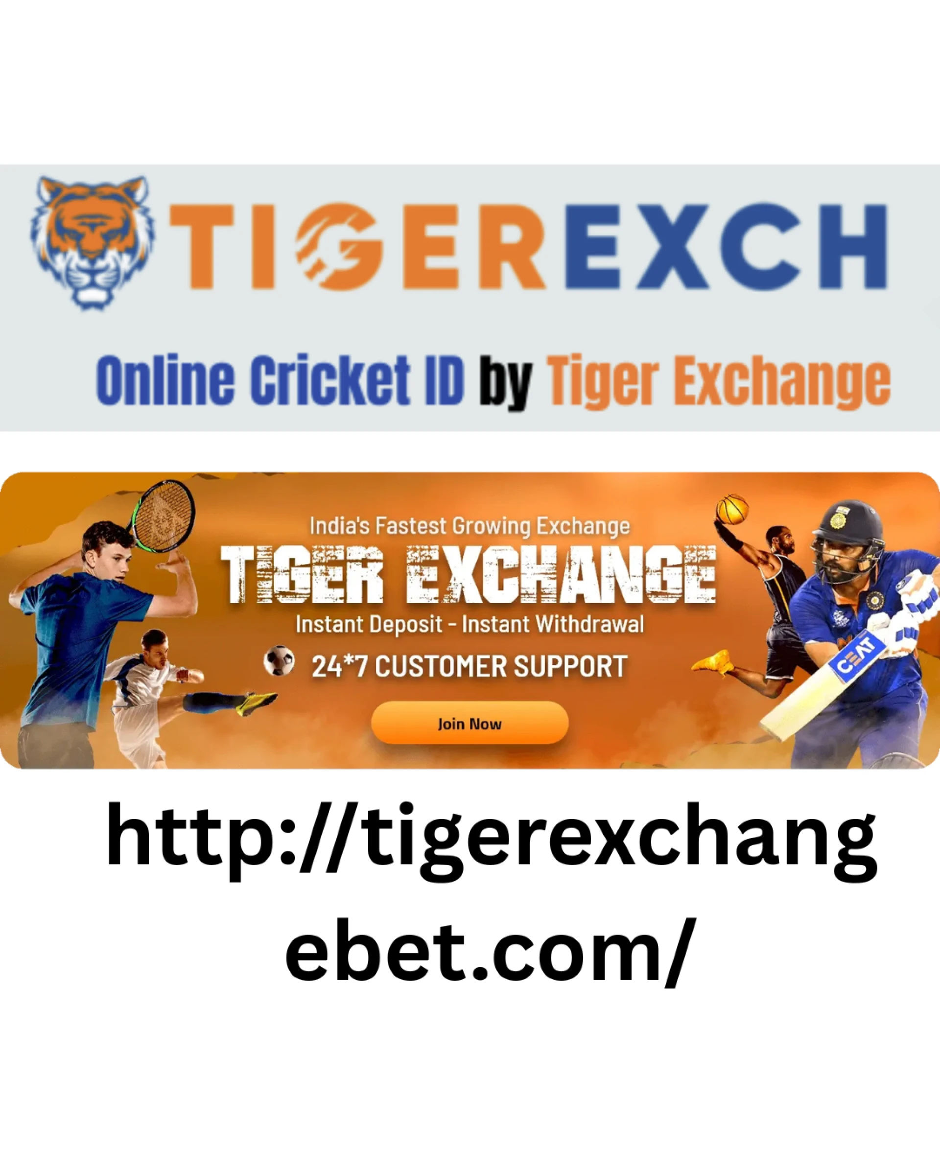 TigerExchangeBet Guide: Fast Tiger Exchange App Access, Smooth Tiger Exchange 247 Navigation & VIP Login Features