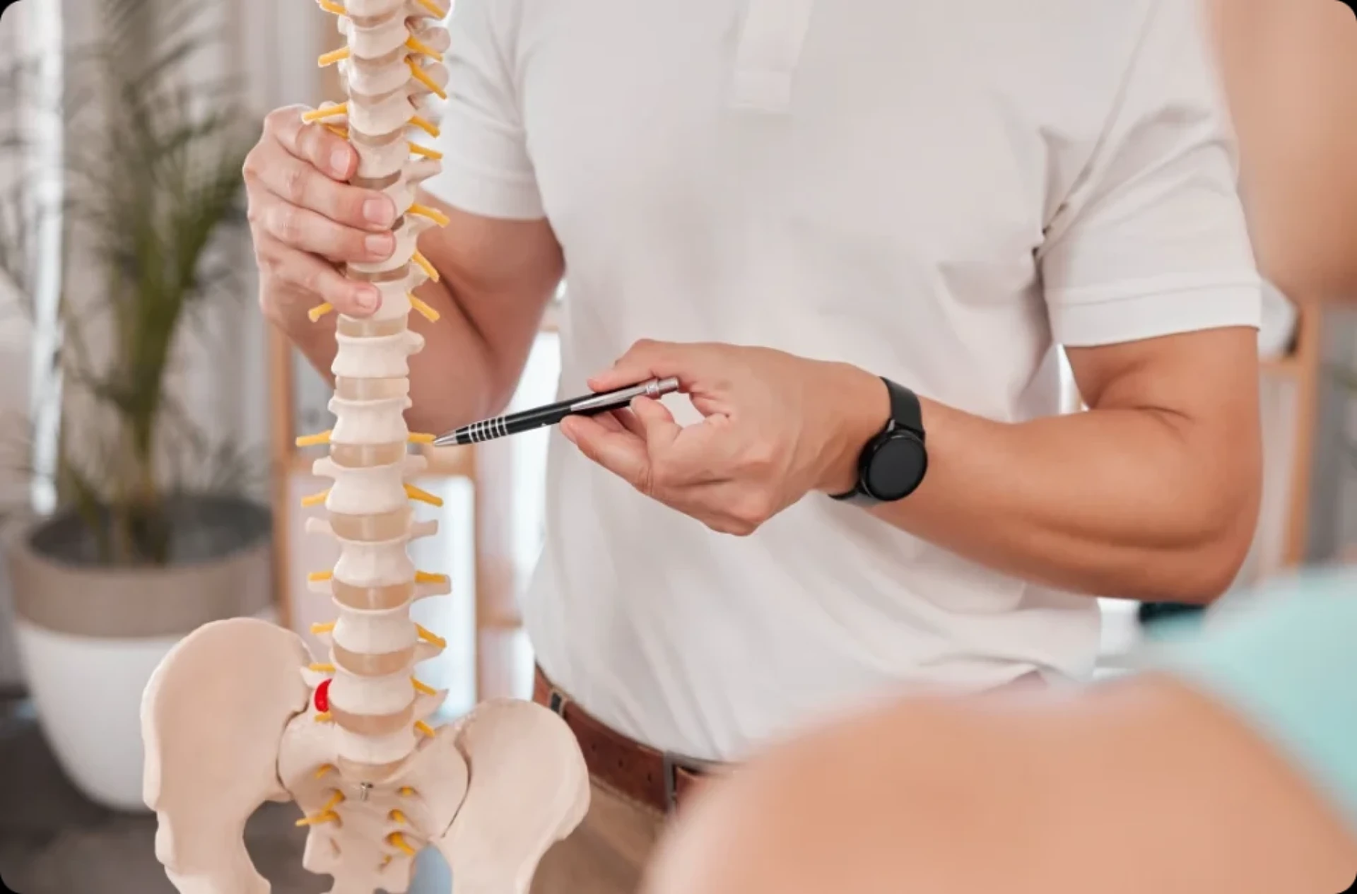 Natural, Long-Term Relief with Chiropractic and Naturopathy in Woody Point