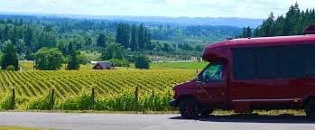 Exploring Local Vineyards with a Wineries Tour in Cashiers