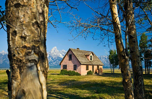 Everything You Need to Know About Wyoming Homes