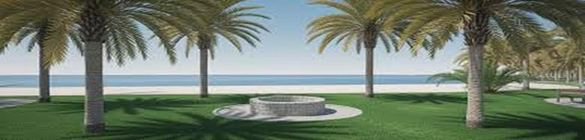 Experience Dubai’s Desert Magic with Thrilling Arabian Safari Adventures