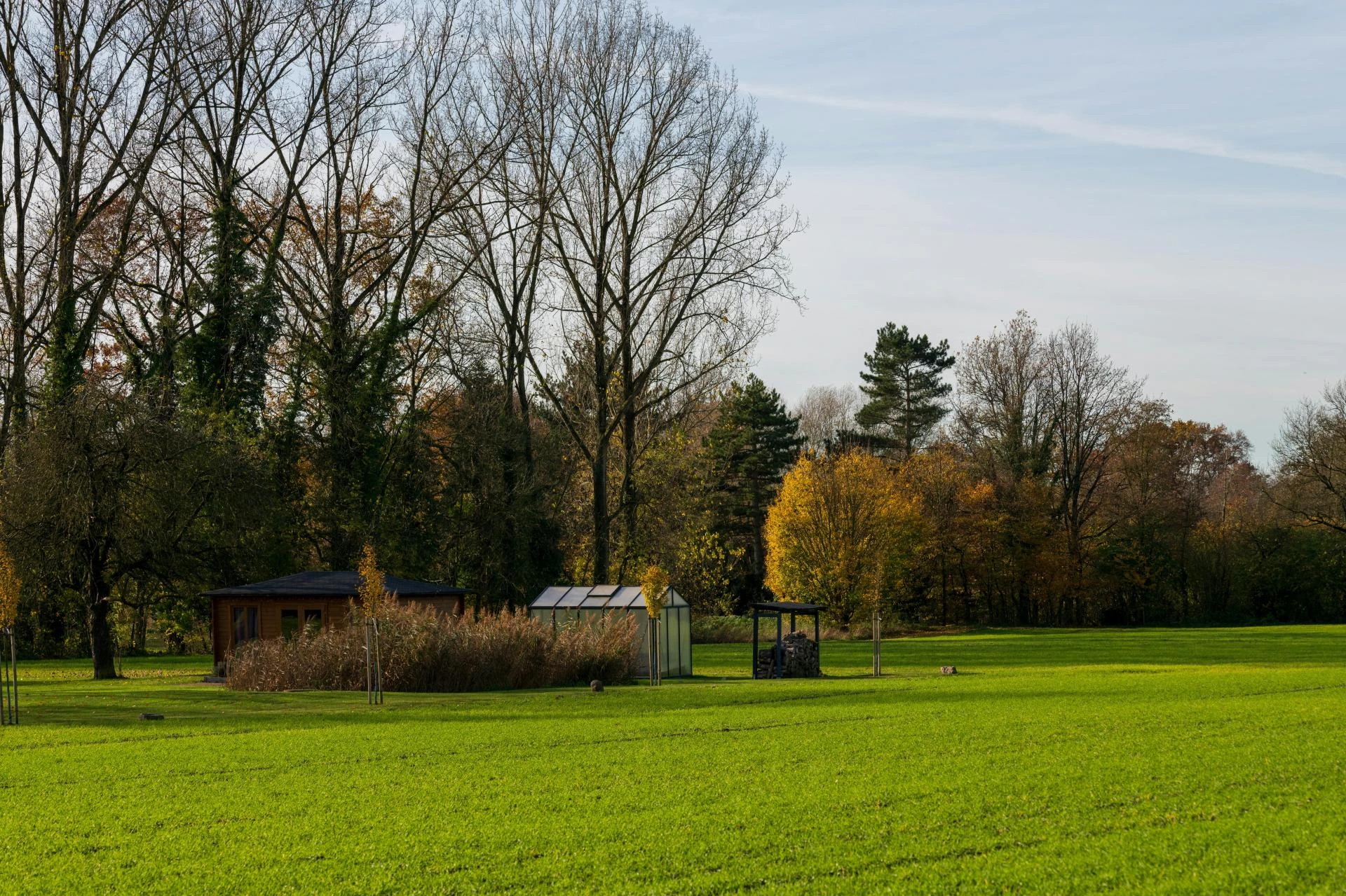 Professional Landscape, Lawn, and Sprinkler Repair Services in Gilbert, AZ