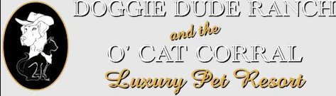 Reliable & Affordable Dog Boarding Near Me – Quality Care You Can Trust