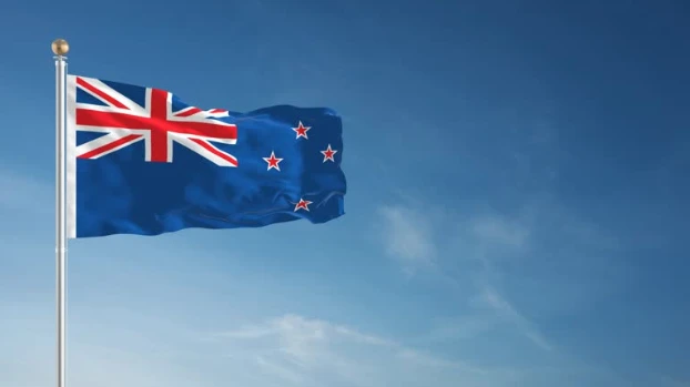 How Investors Use NZ ESG Reporting to Evaluate Companies