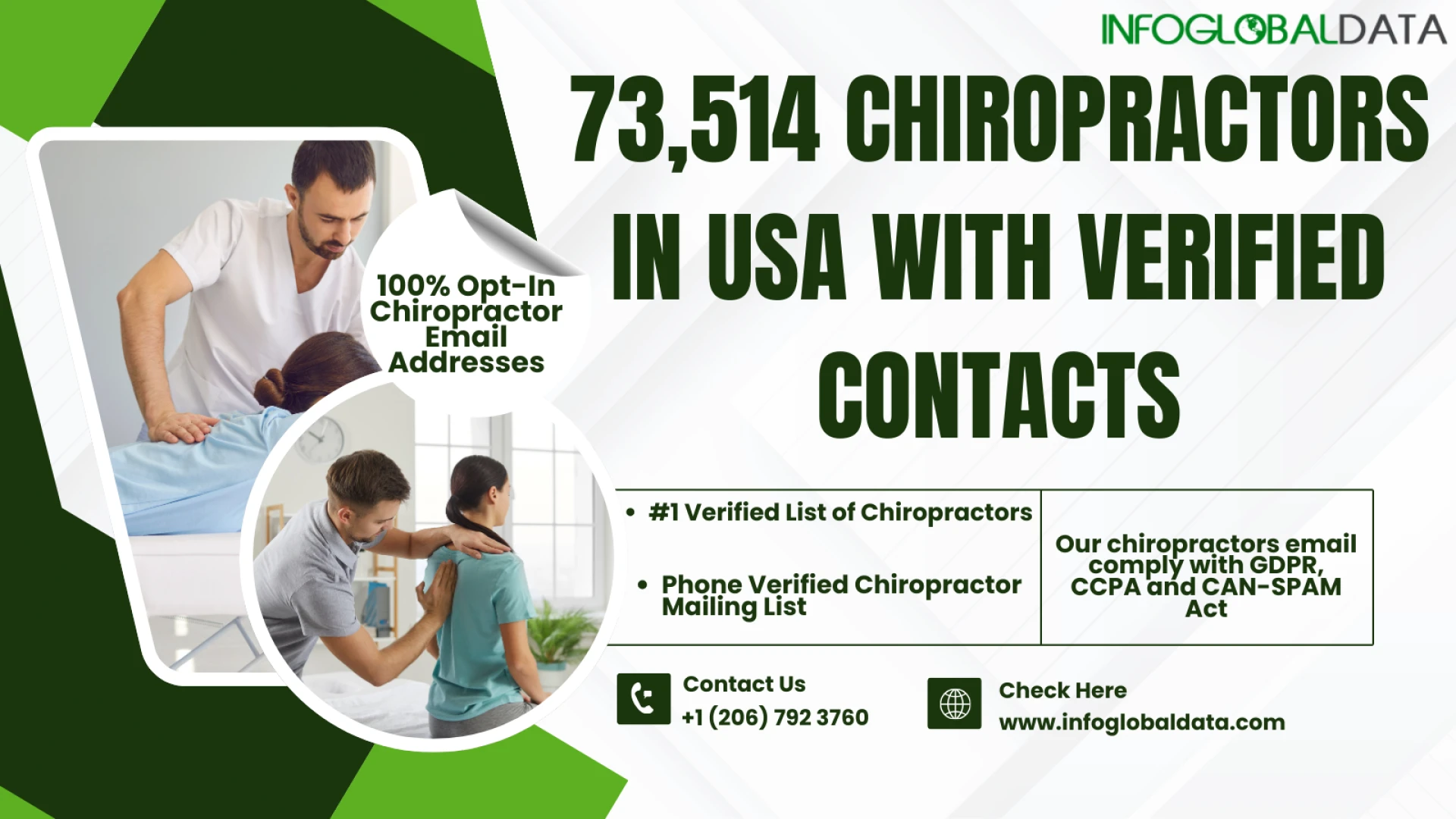 Why InfoGlobalData Is the Trusted Source for Verified Chiropractor Mailing List