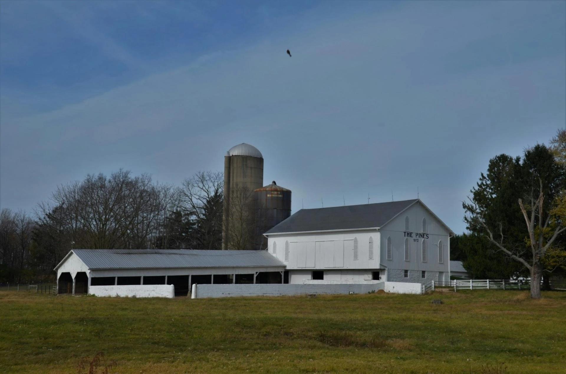 Floor Insulation Techniques for Temperature-Controlled Cold Storage Buildings
