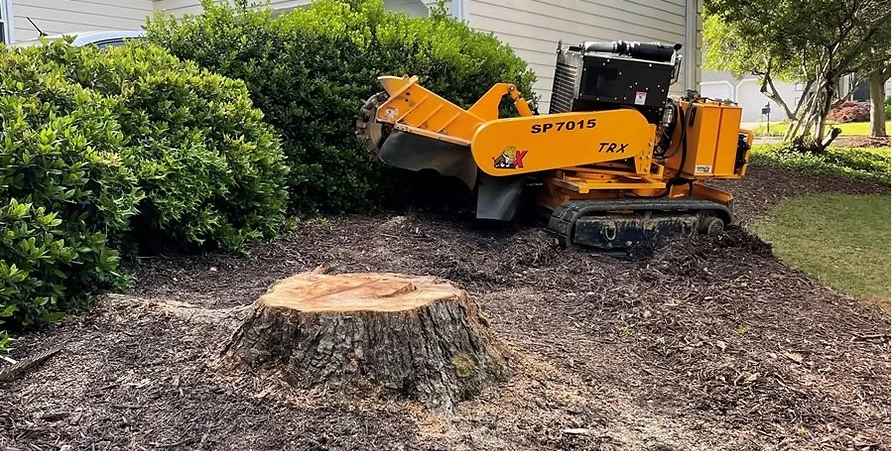 Professional Tree Stump Removal and Damage Clearance Services Across Limerick, Tipperary, and Munster