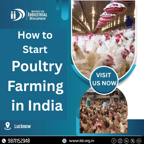Poultry Farm Business in India: Models, Investment, Organic Farming & Training Opportunities