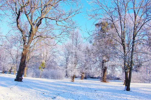  How to Use the Snow Day Calculator App with AccuWeatheritle