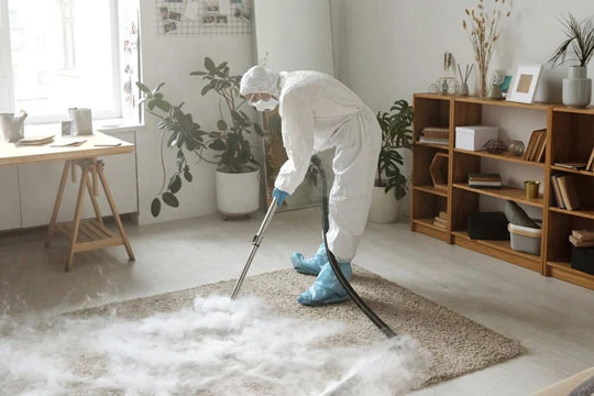Why Choosing a Professional Carpet Cleaning Service North Brisbane Makes All the Difference
