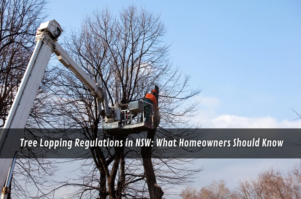 Tree Lopping Regulations in NSW: What Homeowners Should Know