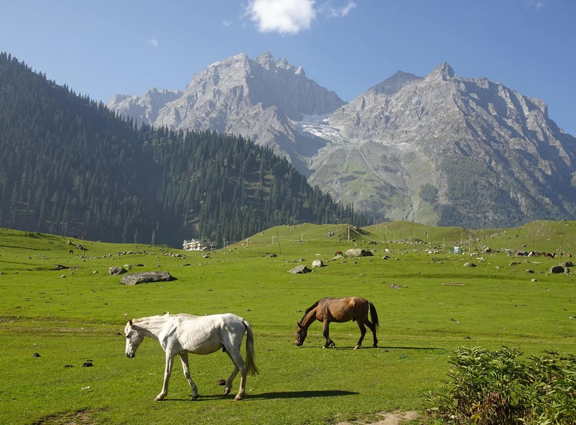 A Journey Through Kashmir’s Beauty: Top Valleys, Lakes & Hill Stations to Visit